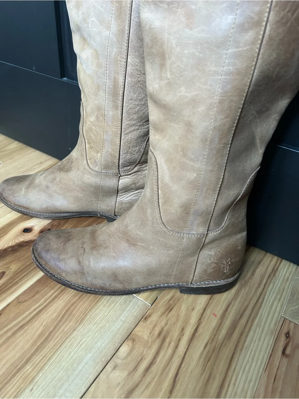 Frye classic tall